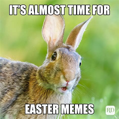 best easter memes 2024|happy easter memes.